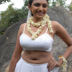 20091207 01574100 copy 150x150 Telugu Actress Waheeda Navel Pics