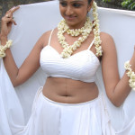 20091207 18612100 copy 150x150 Telugu Actress Waheeda Navel Pics