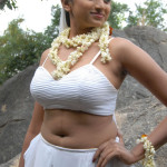 20091207 26372800 copy 150x150 Telugu Actress Waheeda Navel Pics