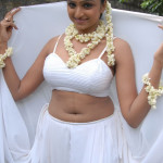 20091207 26994600 copy 150x150 Telugu Actress Waheeda Navel Pics