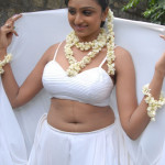 20091207 34867600 copy 150x150 Telugu Actress Waheeda Navel Pics