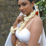 20091207 42323400 copy 150x150 Telugu Actress Waheeda Navel Pics