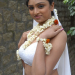 20091207 73826100 copy 150x150 Telugu Actress Waheeda Navel Pics