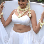20091207 79999300 copy 150x150 Telugu Actress Waheeda Navel Pics