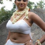 20091207 95542800 copy 150x150 Telugu Actress Waheeda Navel Pics
