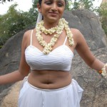 20091207 98884400 copy 150x150 Telugu Actress Waheeda Navel Pics