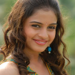 Actress Sheena Shahabadi Navel Pics