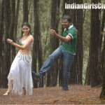 tamanna_and_karthi_in_paiya