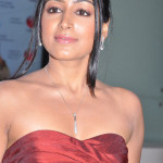 actress padma priya sizzles 11 150x150 Actress Padma Priya High Quality Pics