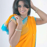 saree models 150x150 Telugu Girls Yellow Casual Saree Blue Blouse