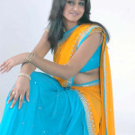 sari 150x150 Telugu Girls Yellow Casual Saree Blue Blouse