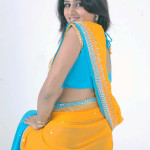 sari girls 150x150 Telugu Girls Yellow Casual Saree Blue Blouse