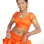 Teen Tamil Girl Silk Blouse Pavadai