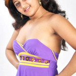 hot-tamil-actress-amruthuvalli-spicy-stills-pictures-photos-21 copy