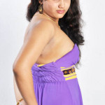 hot-tamil-actress-amruthuvalli-spicy-stills-pictures-photos-30 copy