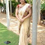 kalyanii-1-25 copy