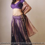 Sexy Figure South Indian Aunty Pavadai Blouse