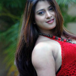 south-indian-glamour-actress-farahkhan-upskirt-pictures-6
