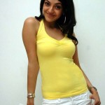 tight tshirt actress kajal agarwal