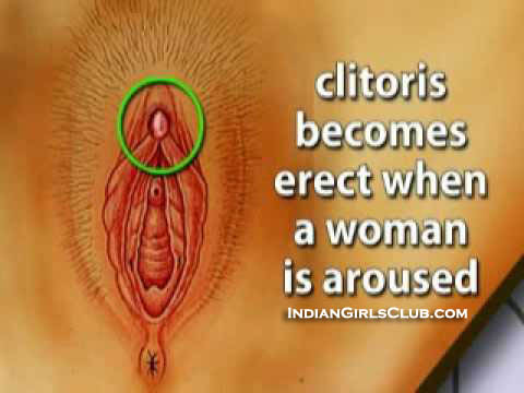 clitoris-women-aroused