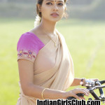 pavadai thavani