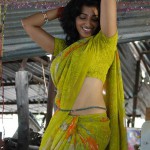 hip shaking dance indian girls saree