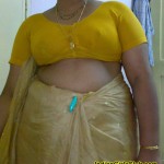 south indian aunty saree jacket