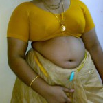 South Indian Aunty Saree Navel Pics South Indian Aunty Saree Navel Pics