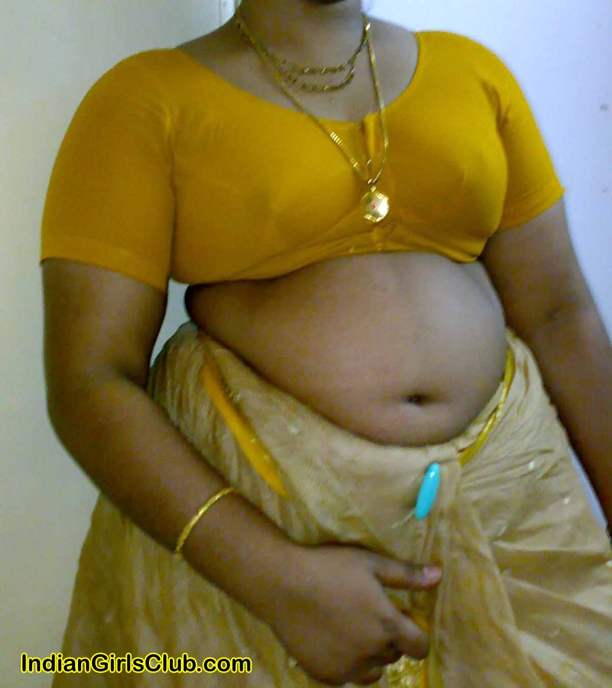 South Indian Aunty Saree Navel Pics
