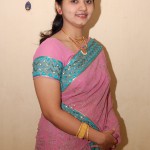 Telugu Aunty in Pink Saree