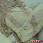 DSC01084-copy