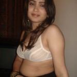 27 sexy bhabhi pics