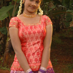 pavadai chattai girl hot 8