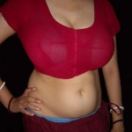 Big Boobs Aunty in Pavadai Blouse