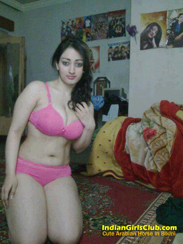 Arab Nude Models - Cute Arabian Horse in Bikini - Indian Girls Club