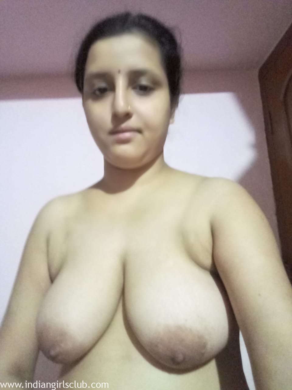 Indian Housewife Sex Hidden Niche Top Mature image
