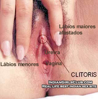 girls vagina labia clitoris